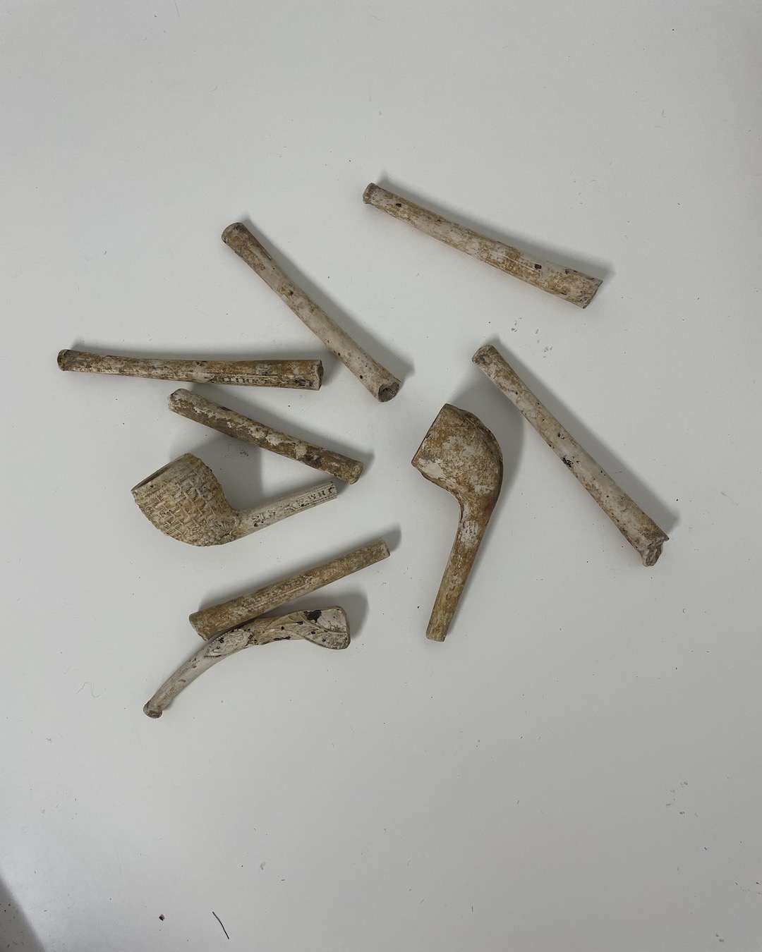 Clay pipe pieces