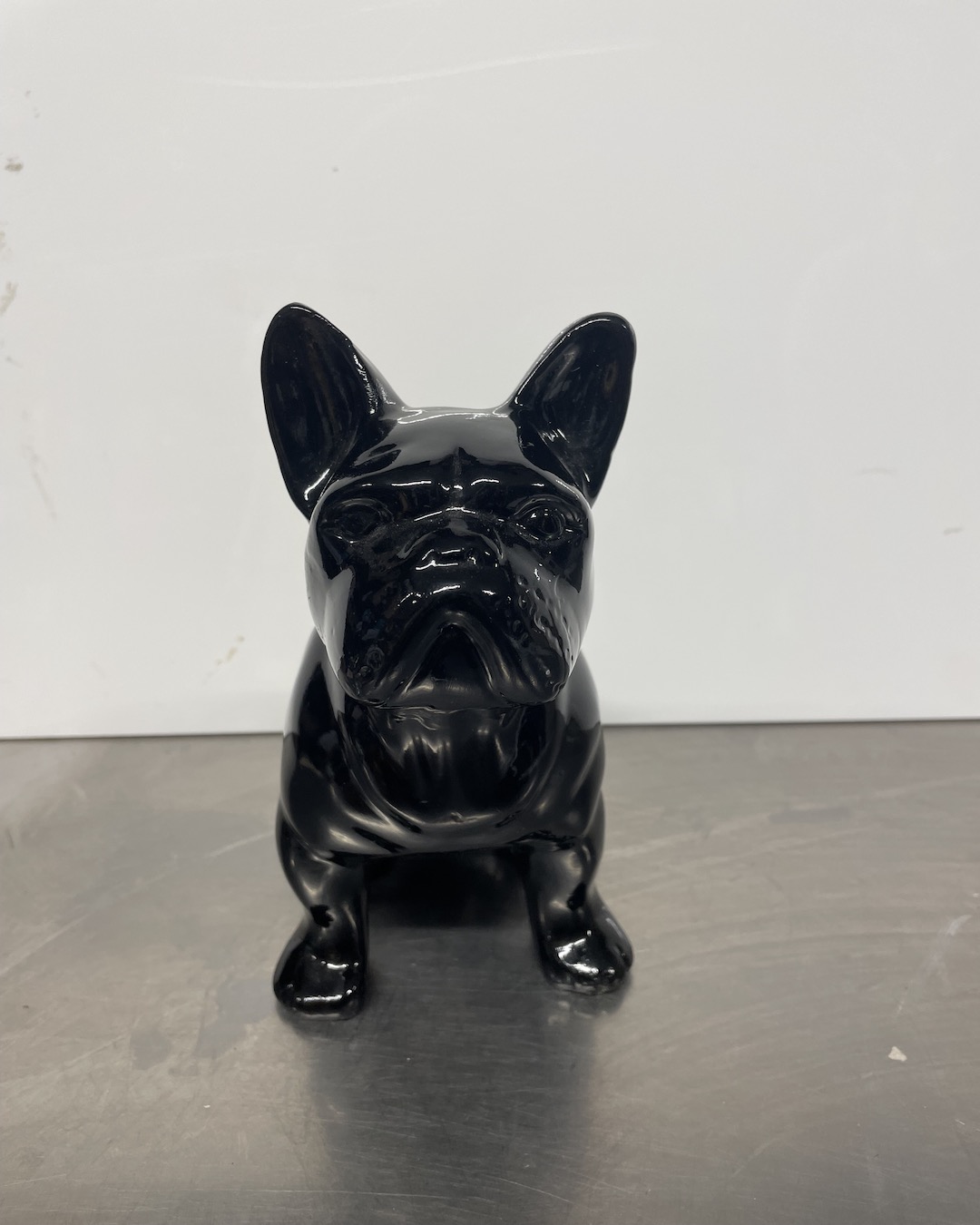 French bull dog in shiny black
