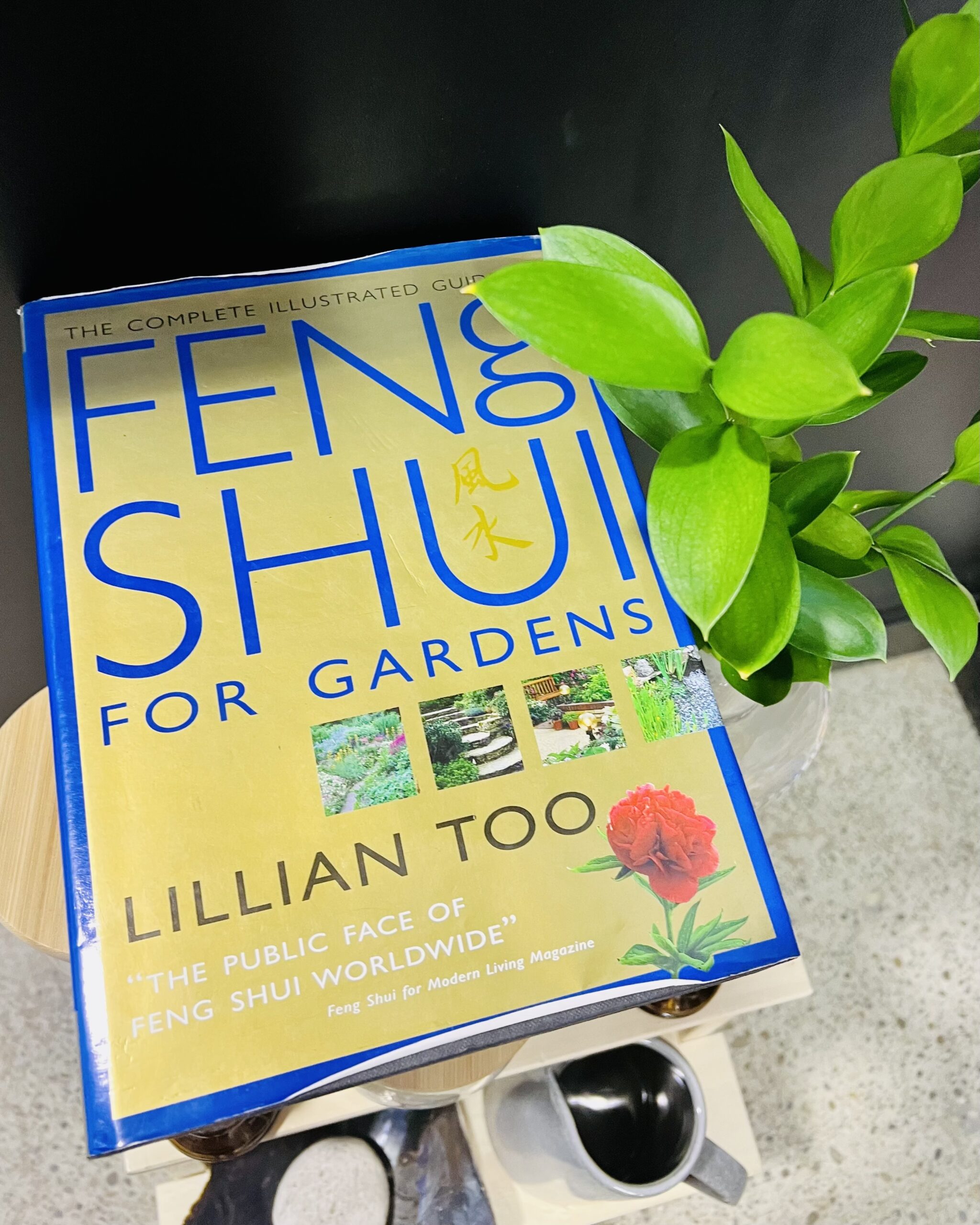Feng Shui book (decorating with books)