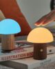 Alice-mushroom-mini-light-blue-orange.jpg Mushroom lamps blue and yellow on books