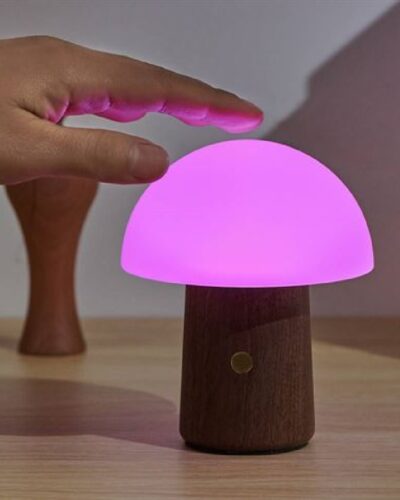 Alice-mushroom-mini-light-purple.jpg Mushroom lamp pink light on table