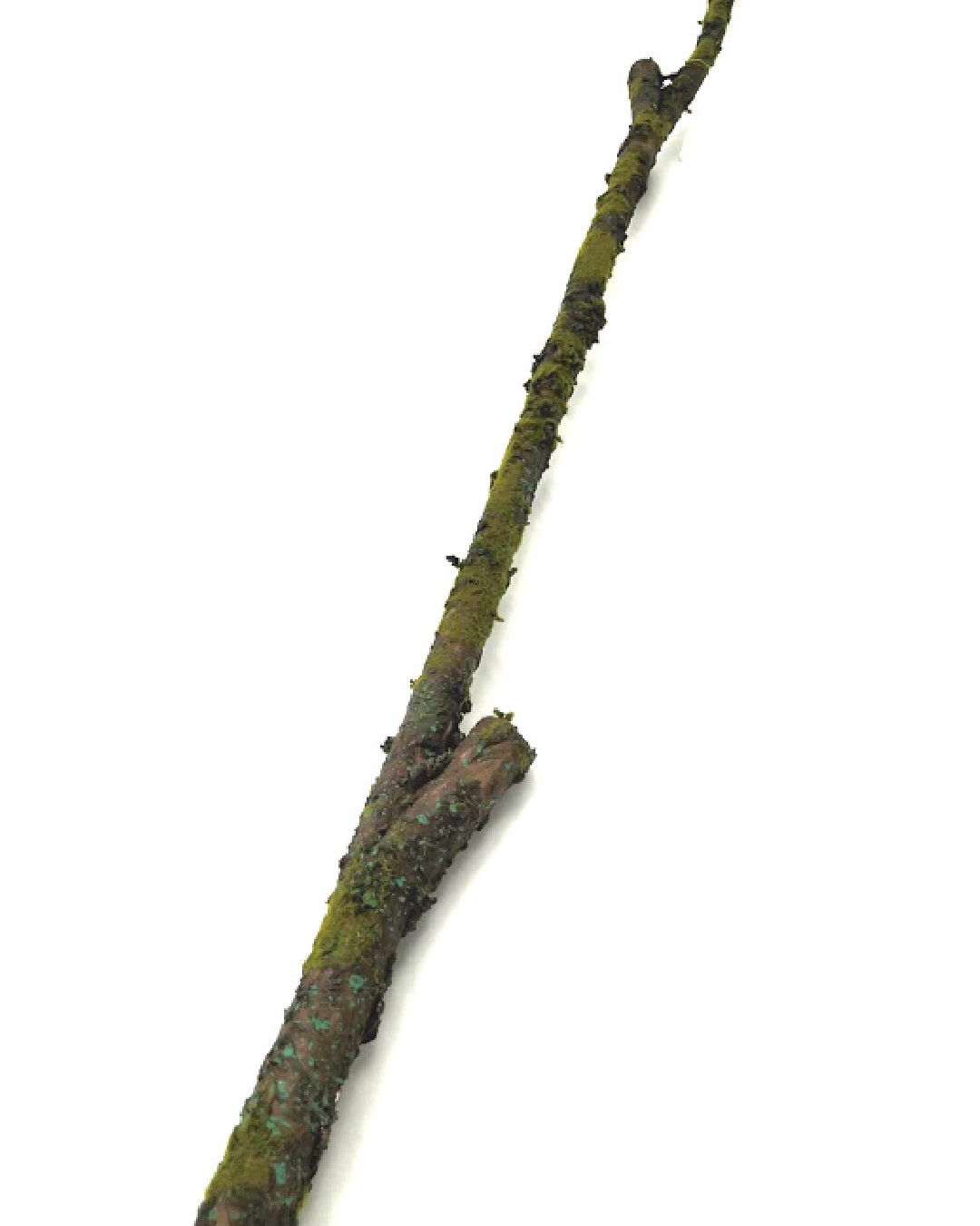 Artificial moss branch