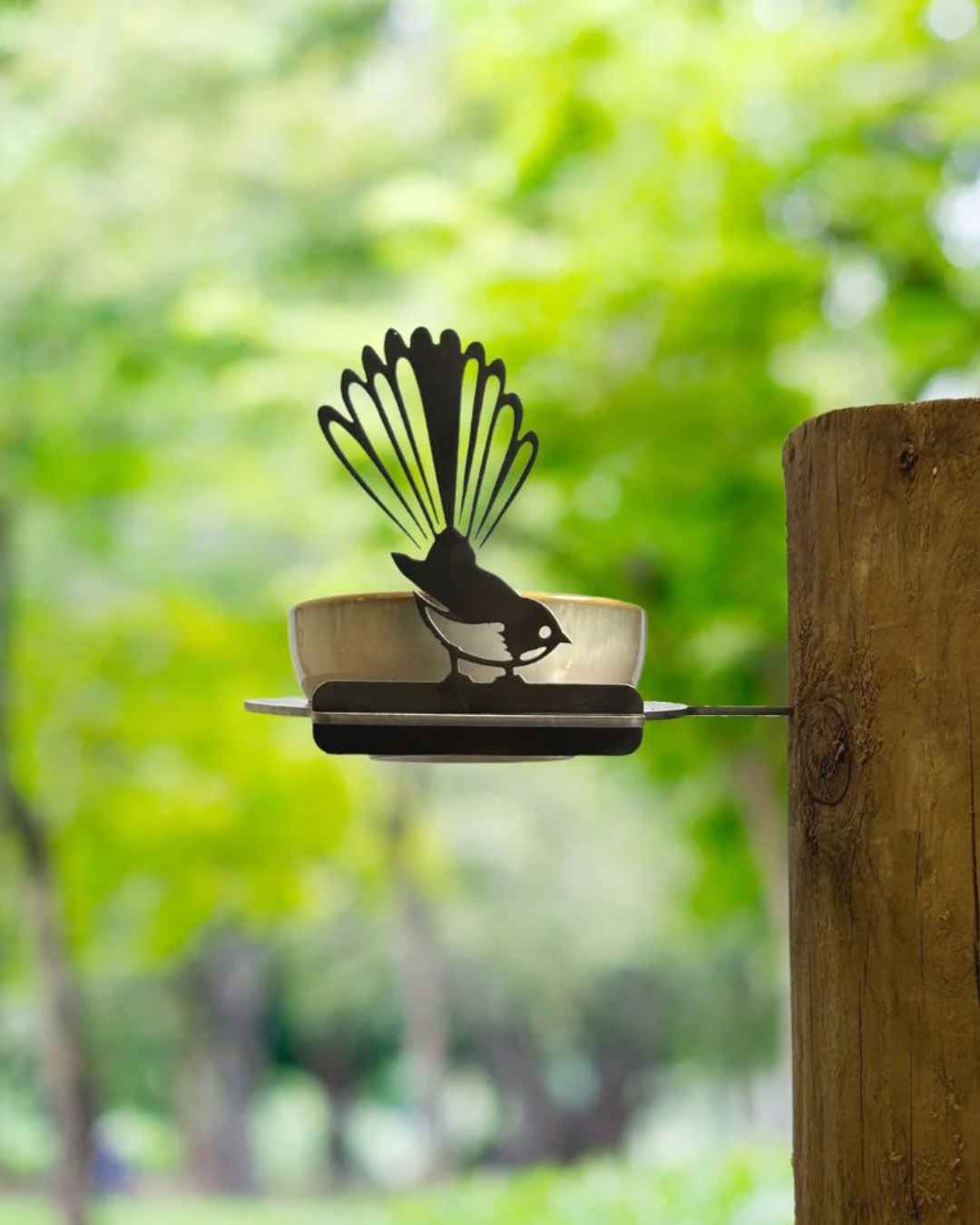 bird bowl feeder in tree stump