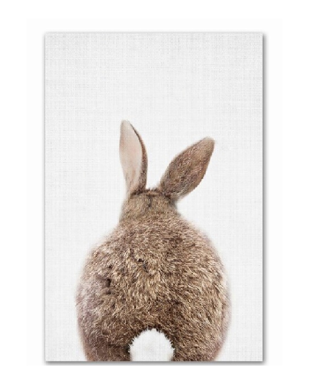 Bunny tail print