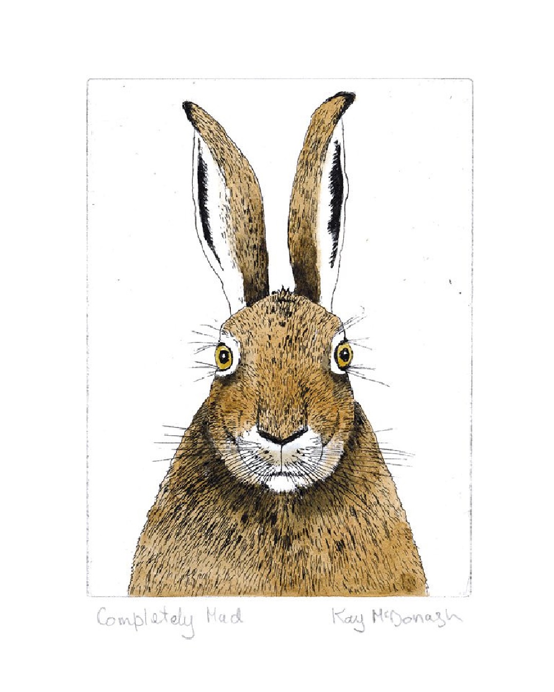 Bunny rabbit card