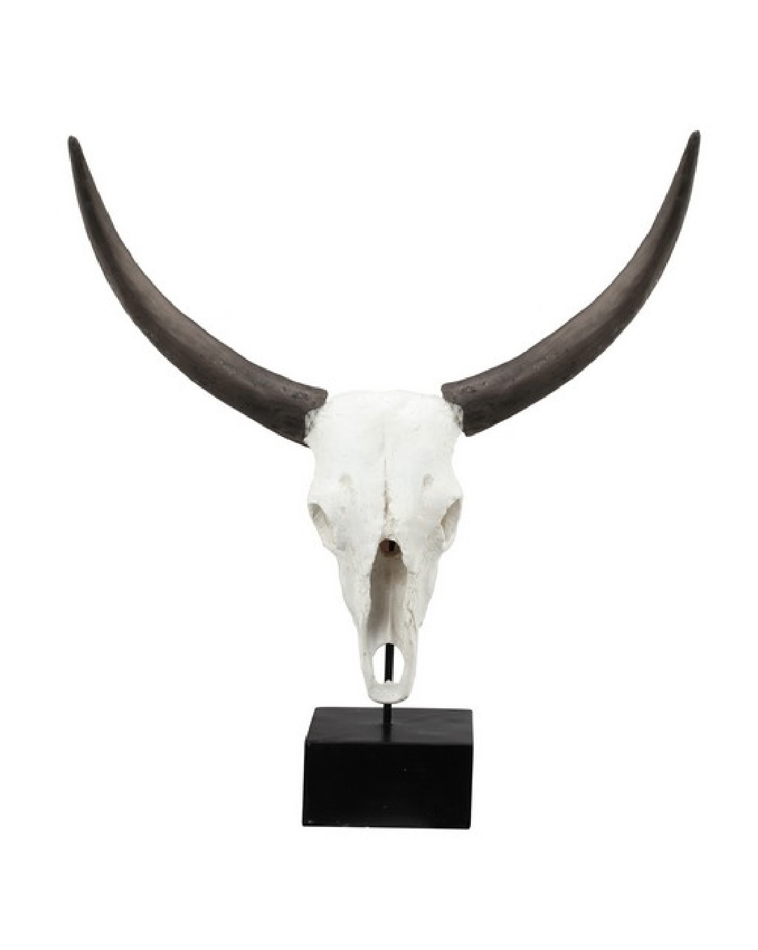 Cow skull