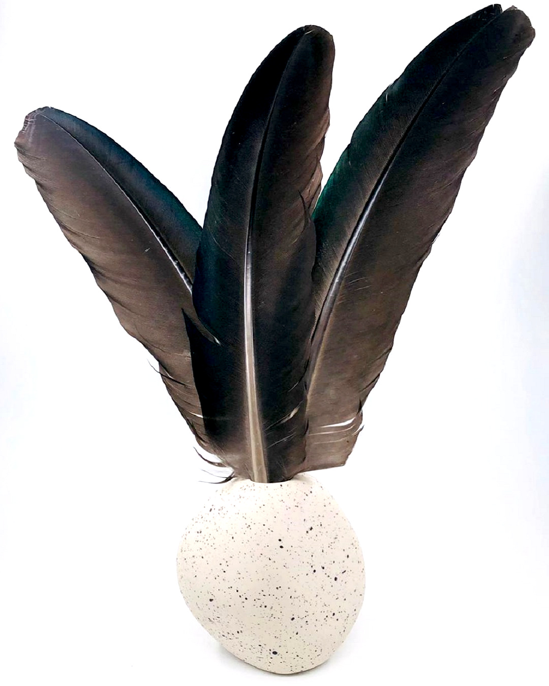 Duck Feather