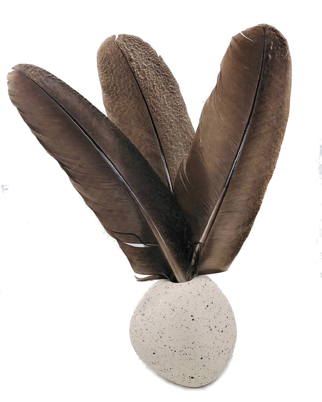 Spotted Duck Feather