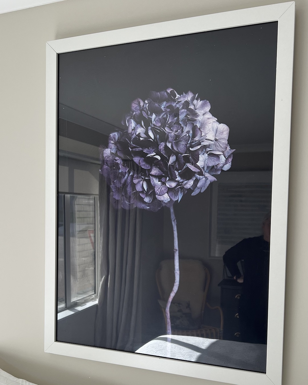Hydrangea art