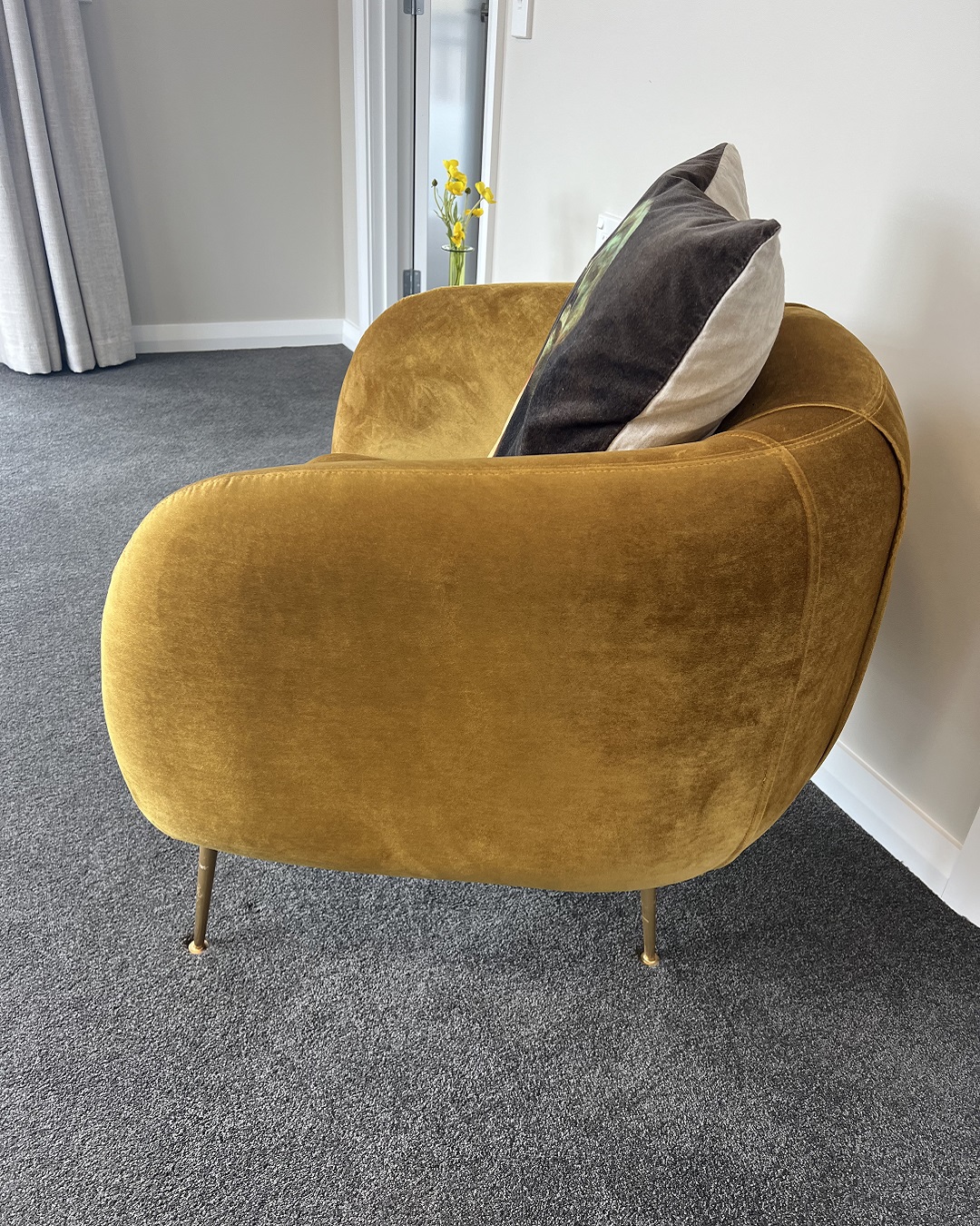 Gold velvet chair and pear cushion