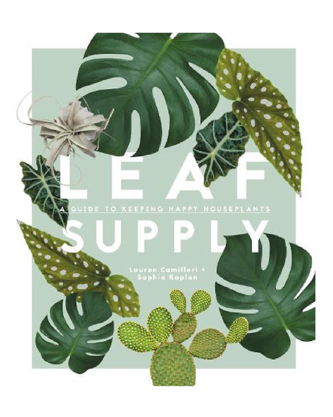 Leaf supply hardcover book on plants