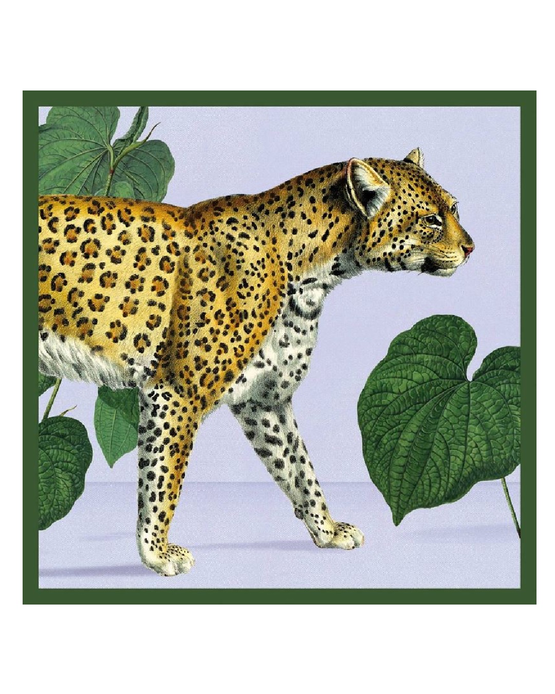 Card with a leopard on the cover