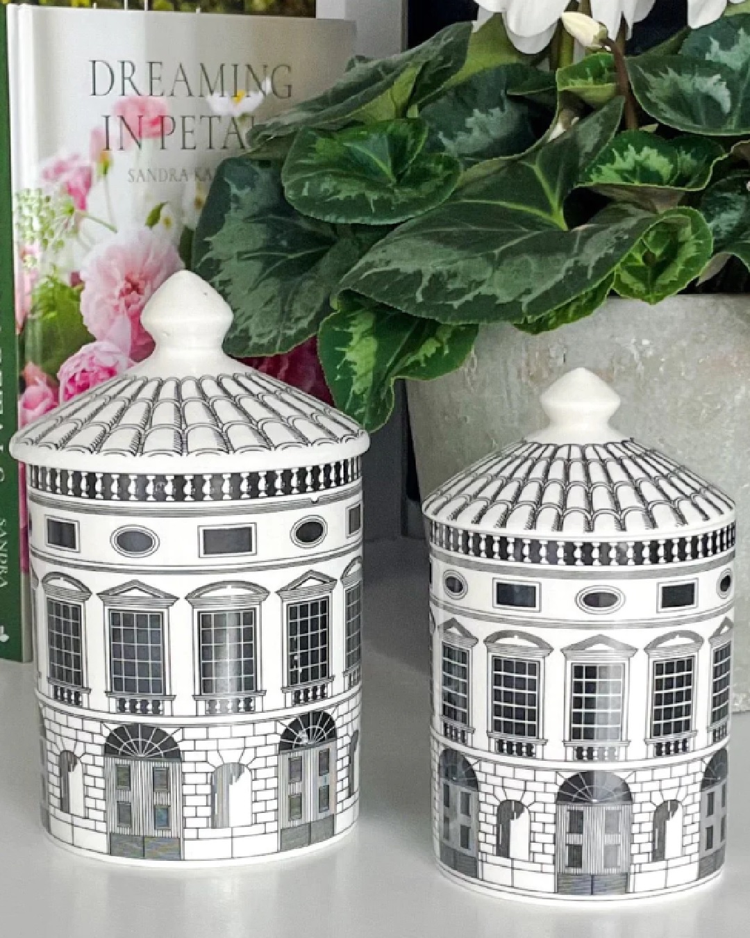 Black and white building jars of candles with lids