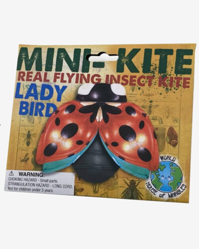 Mini-Kite-Lady-Bird.jpg Mini kite ladybug