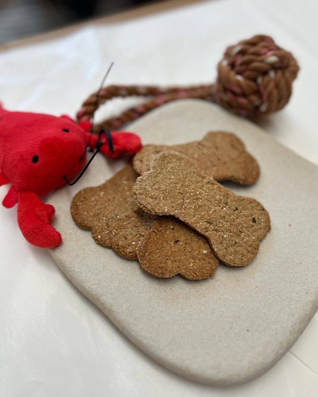 Dog biscuits on a plate with lobster