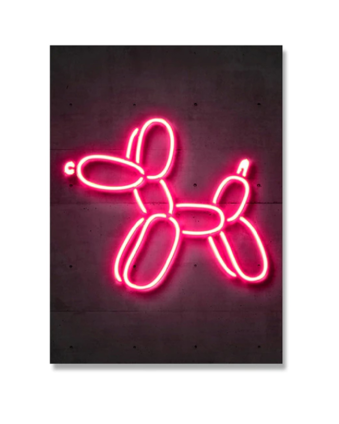 Neon pink balloon dog canvas print