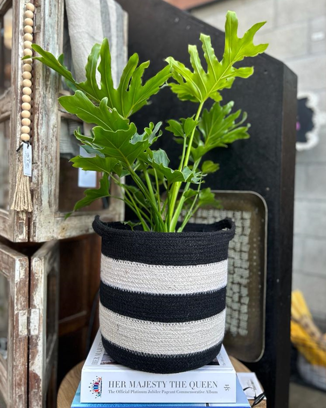 Black and white stripe jute basket with plant inside