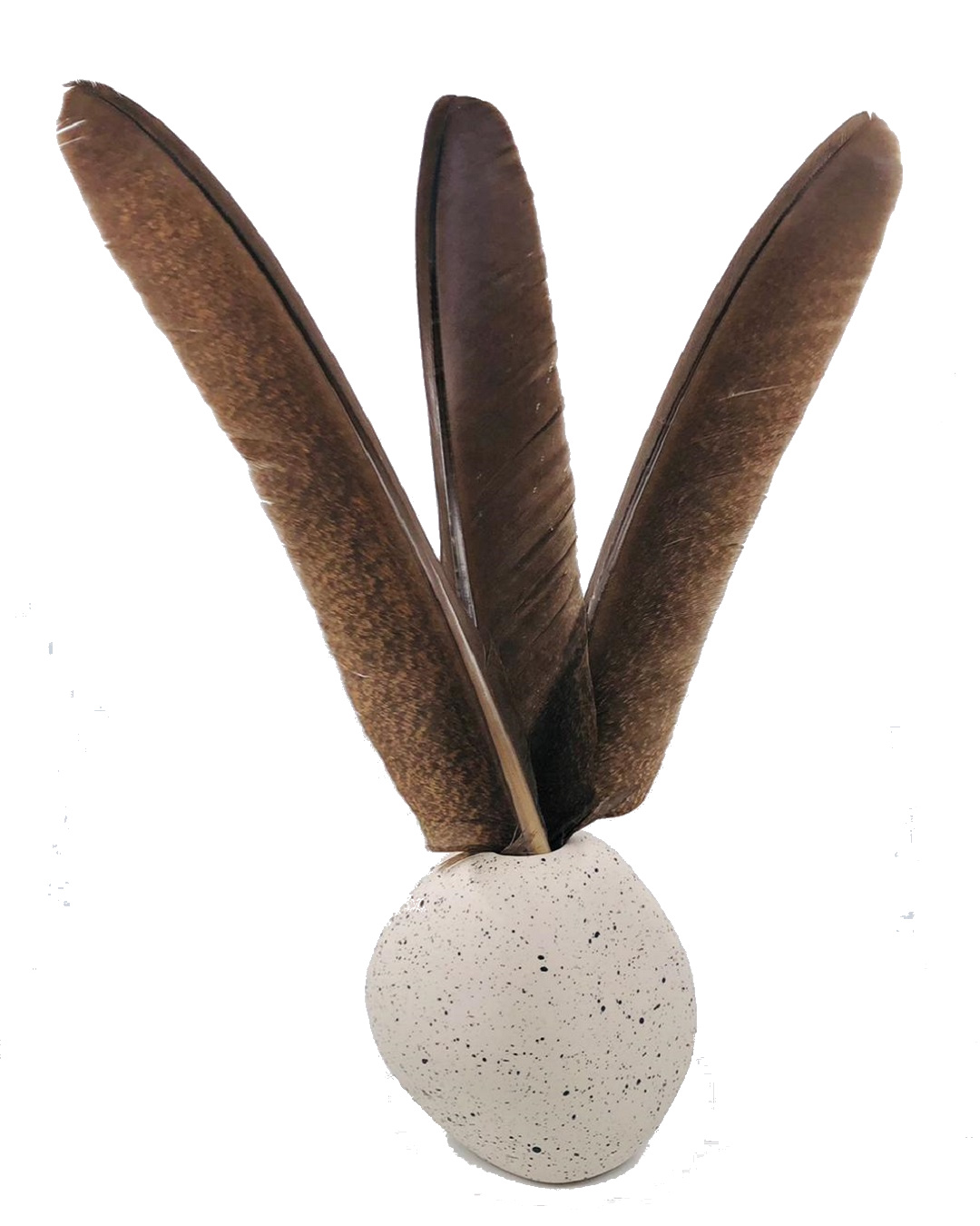 Rusty Blackbird Feather