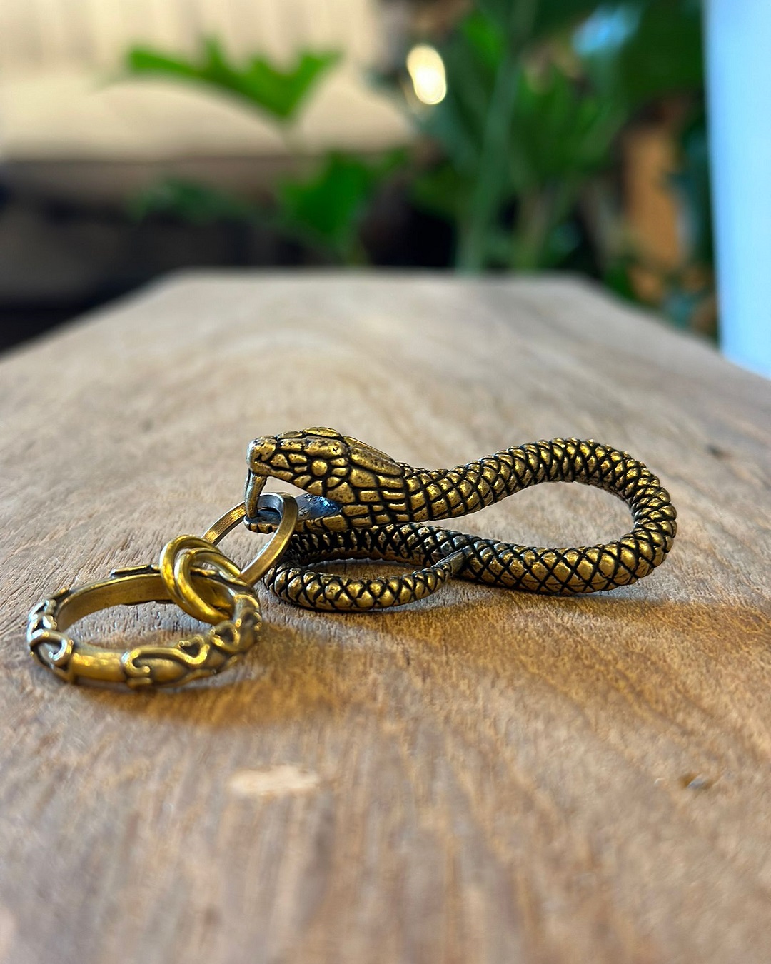 Back of a gold snake keyring on table