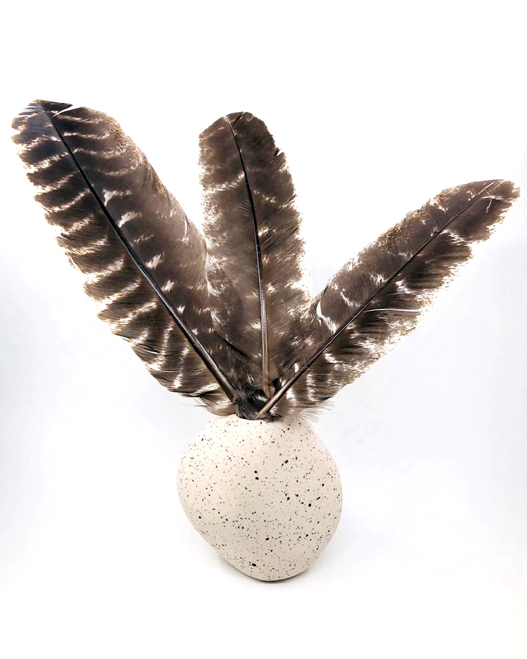 Striped Turkey Feather Thick