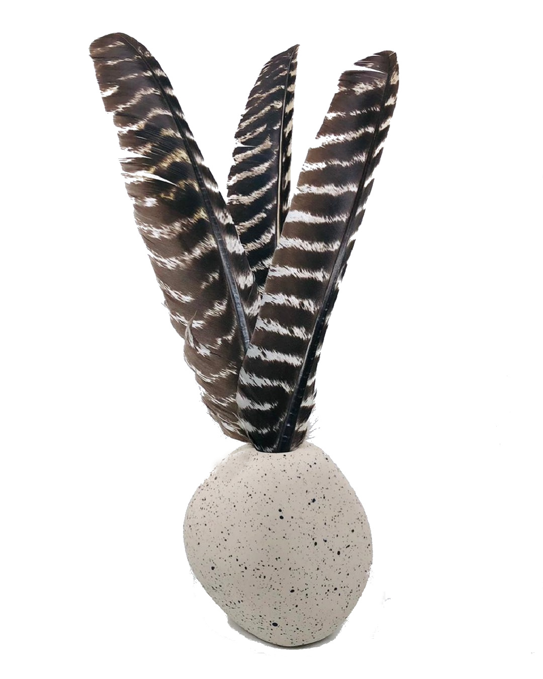 Striped Turkey Feather Thin