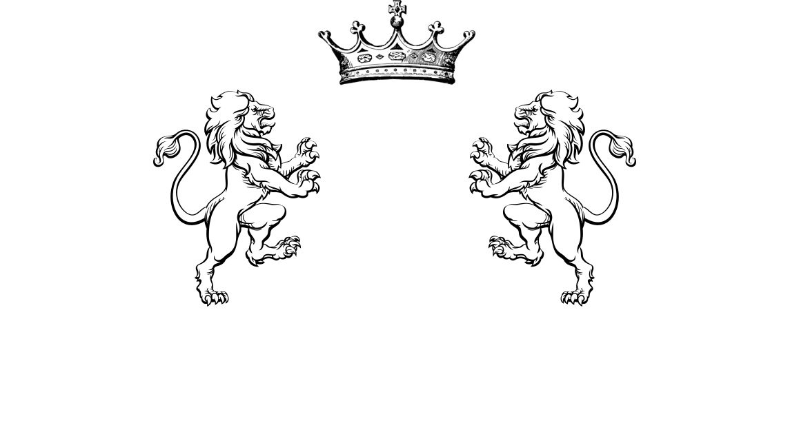 Tickadeeboo Store Logo
