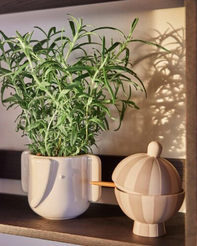 Toppu Bonbonniere Clay Pot and Lid