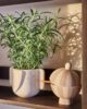 Toppu Bonbonniere Clay Pot and Lid