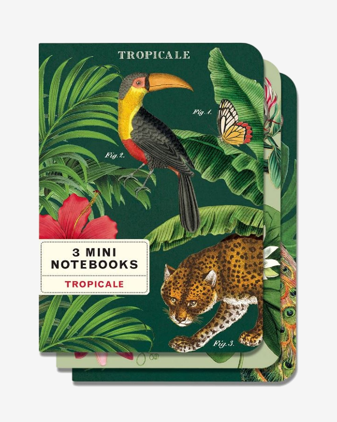 Tropical mini notebook