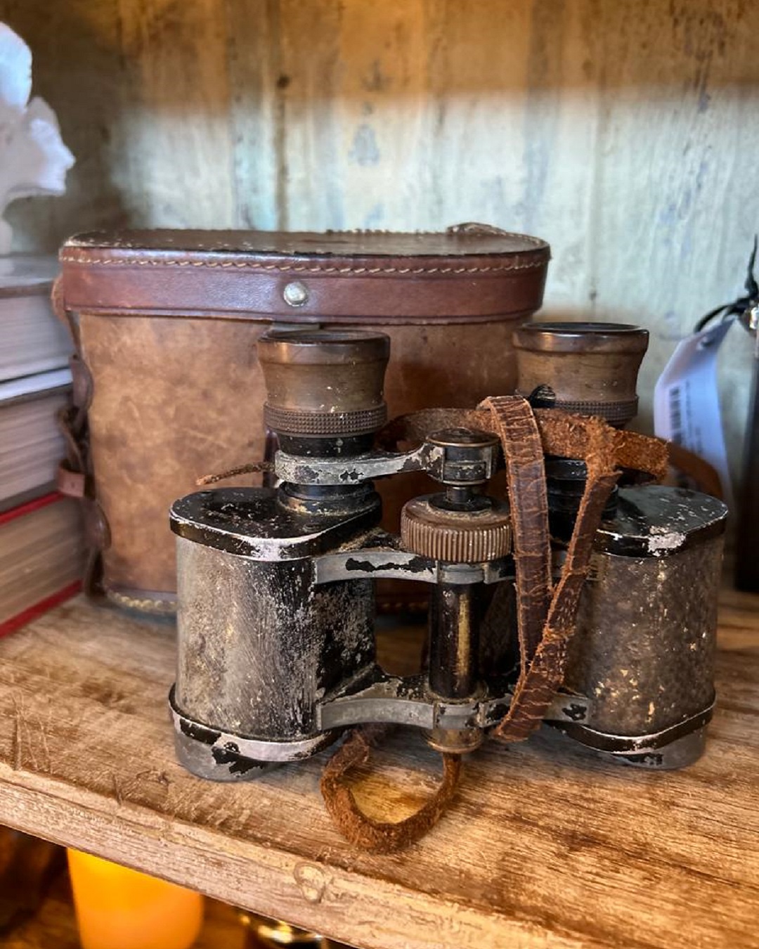 Vintage binoculars with case