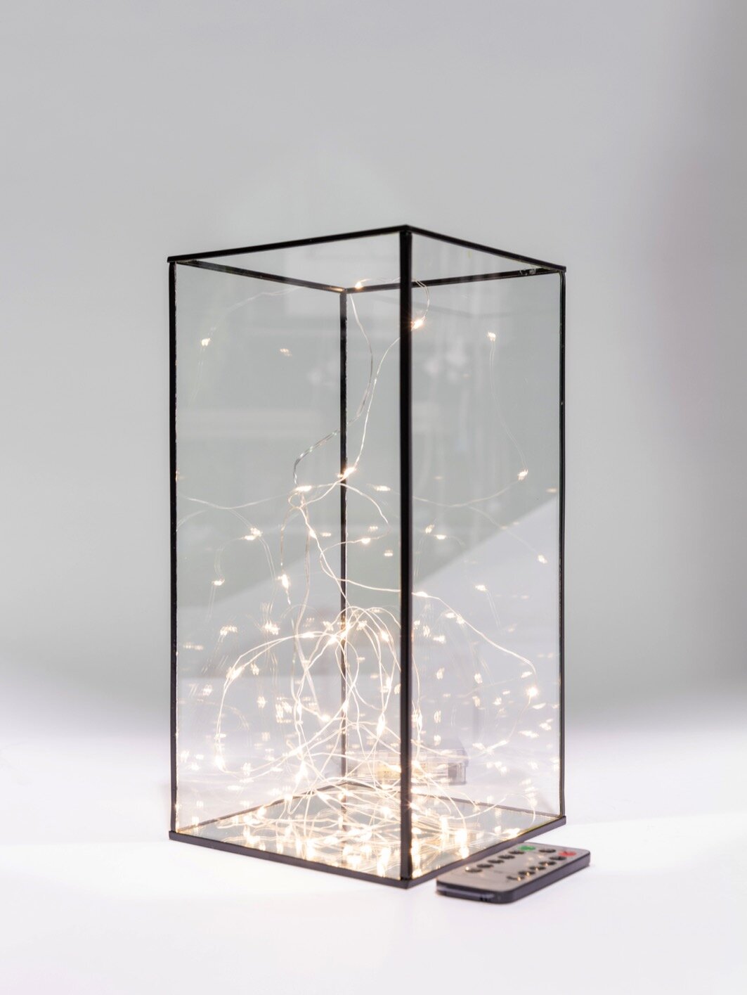 Metal Frame Glass Dome Tall