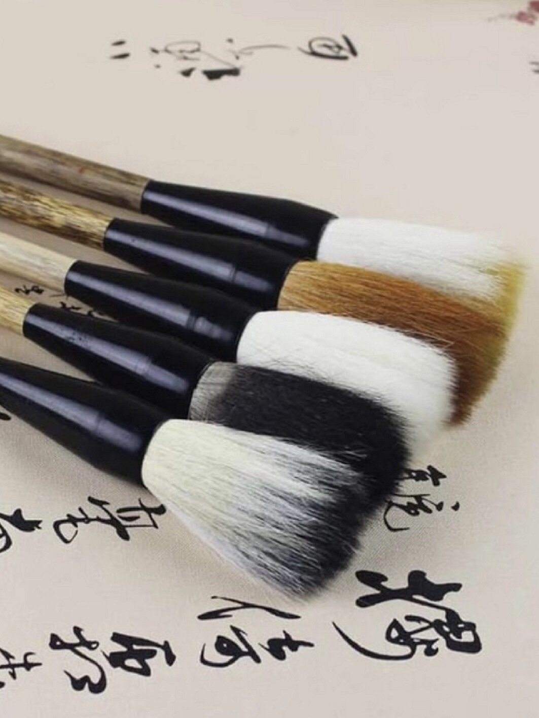 Chinese brushes