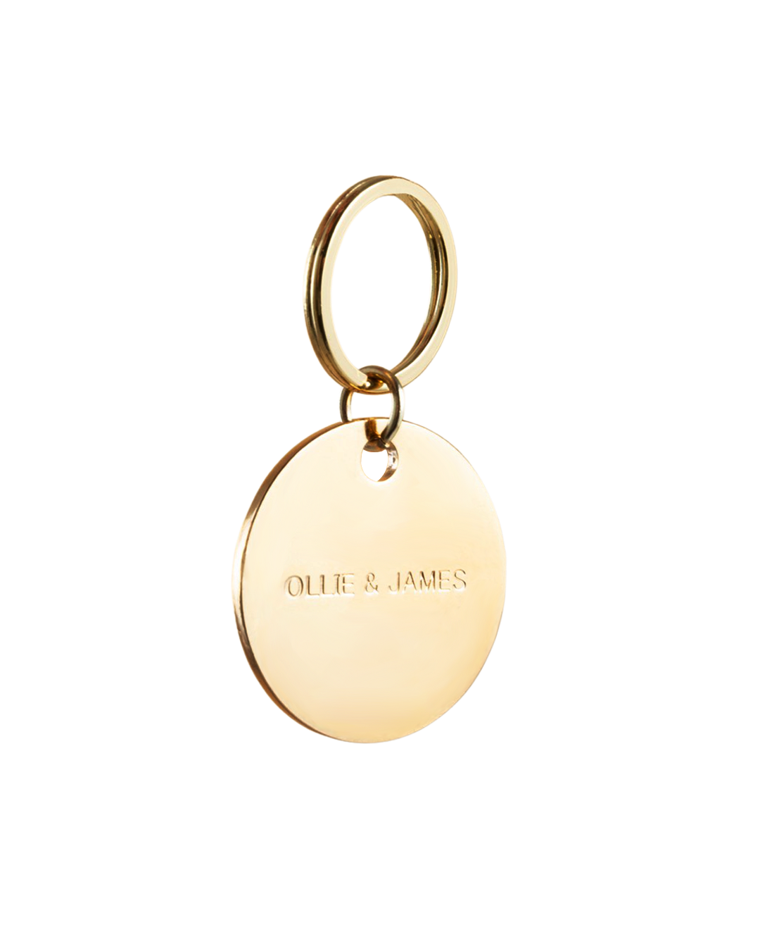 Gold Ollie and James dog ID charm or tag