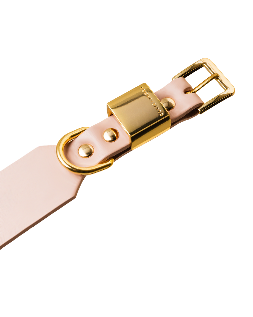 Ollie and James collar in sable pink leather