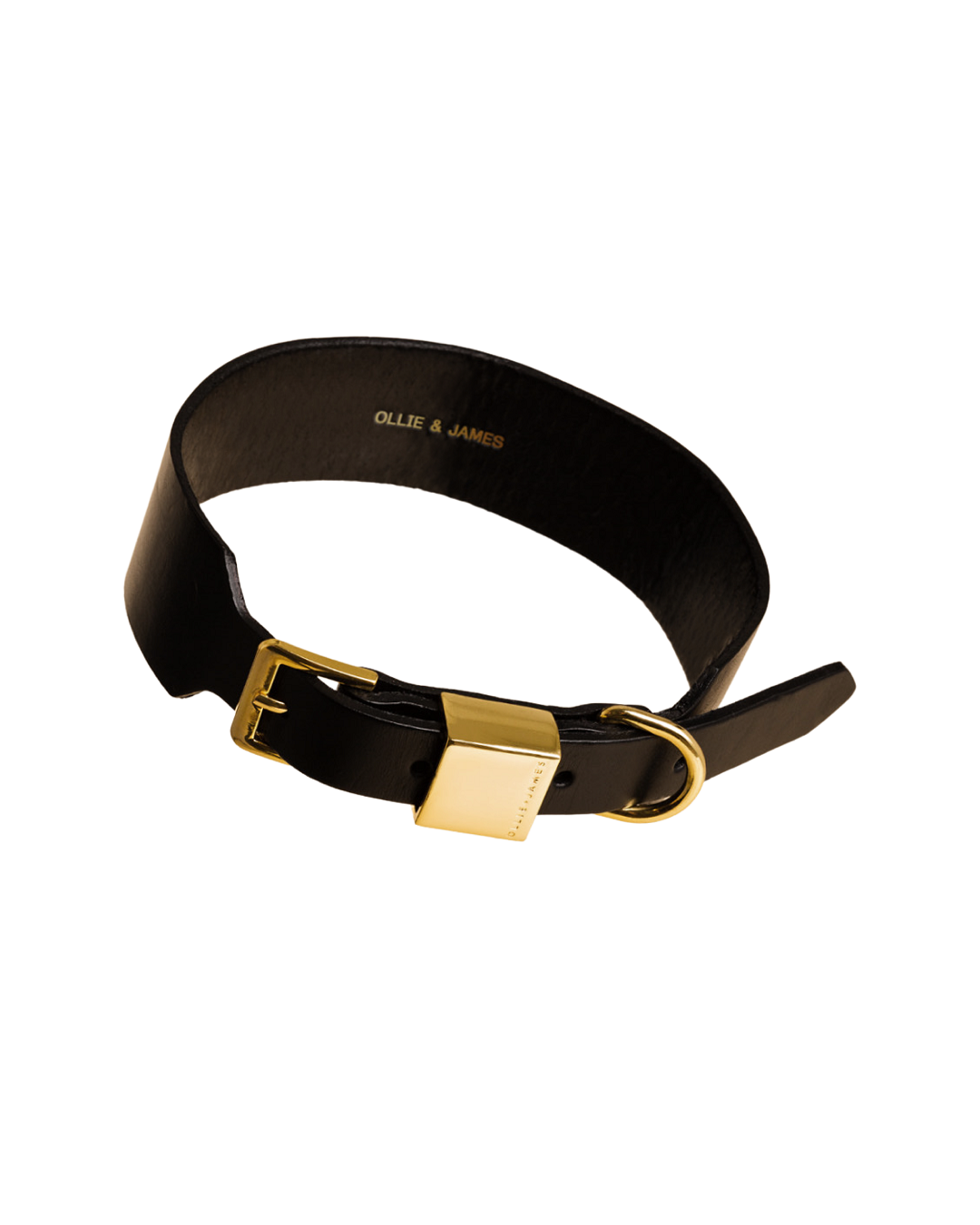 Ollie and James collar in sable black leather
