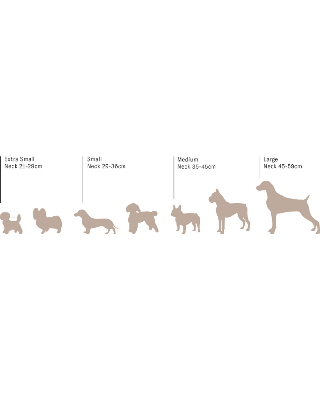 Dog collar size chart