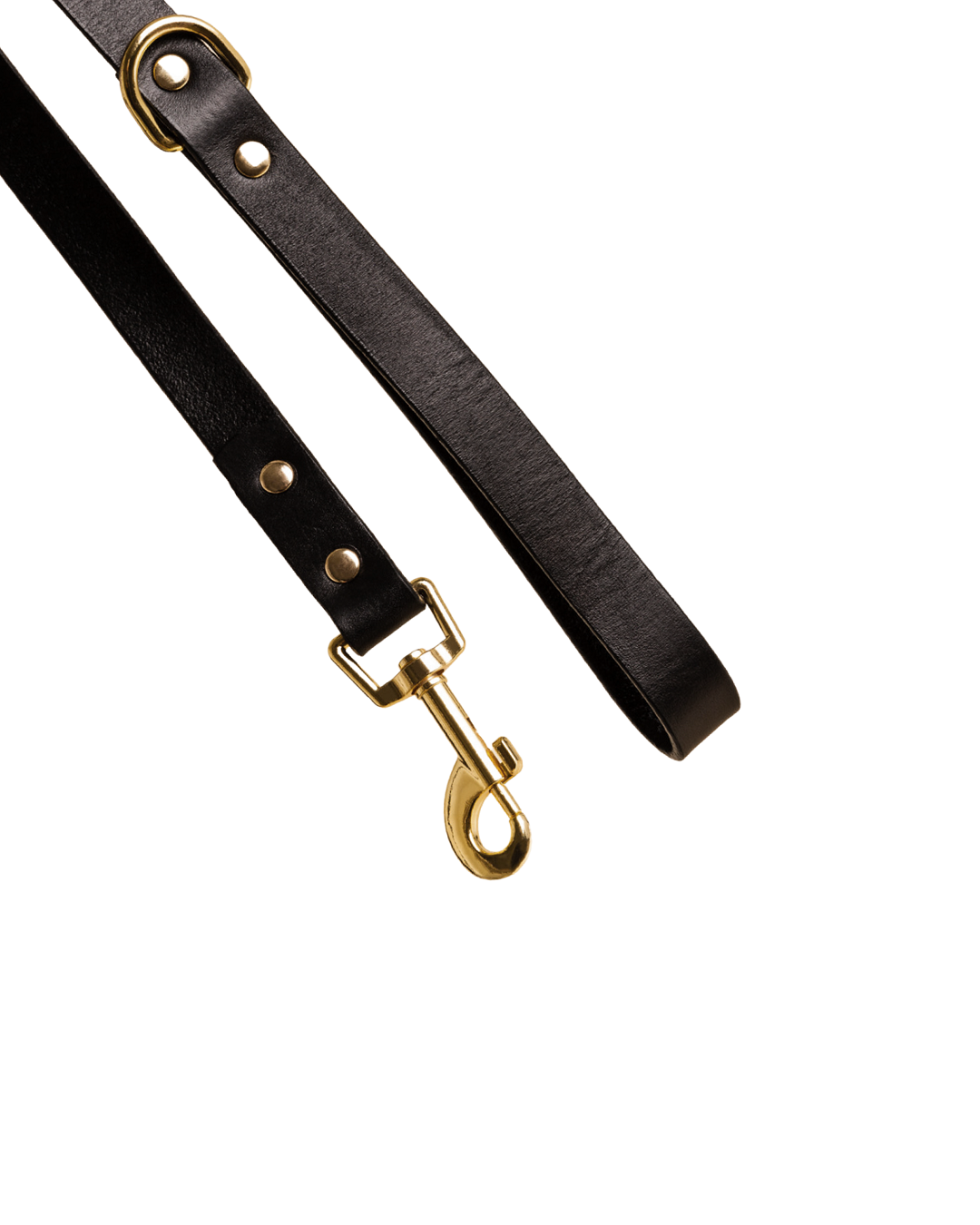Ollie and James dog lead in sable black leather