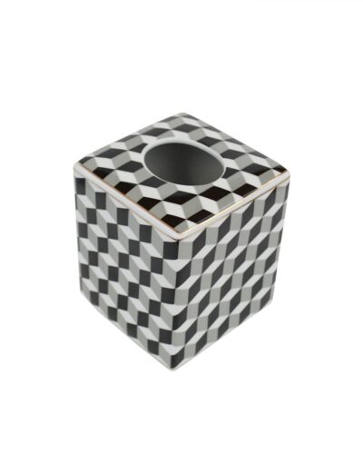 Abstract 3D Design Tissue Box