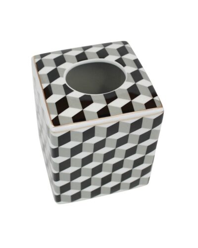 Abstract 3D Design Tissue Box