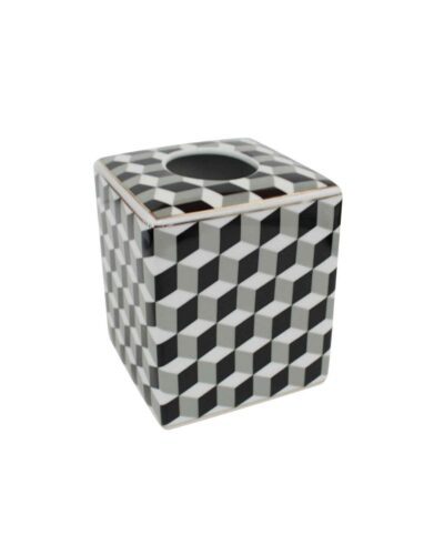 Abstract 3D Design Tissue Box